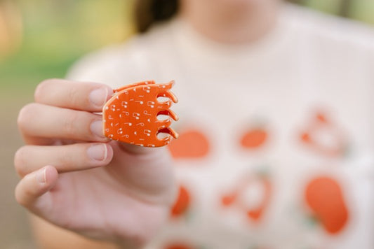 Pumpkin Spice Mini Claw Clip