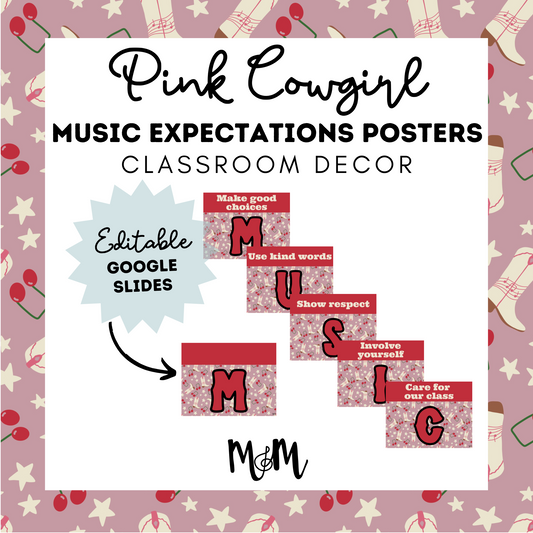 Pink Cowgirl: Classroom Expectation Posters DIGITAL DOWNLOAD