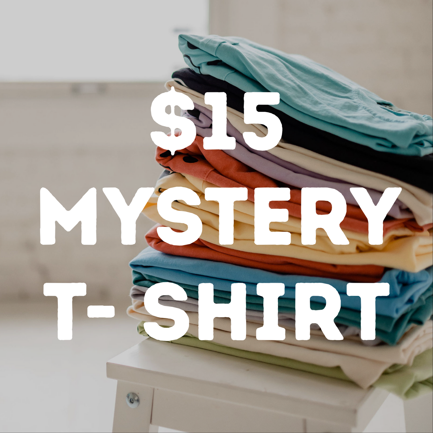 $15 Mystery T-Shirt - LIMITED EDITION