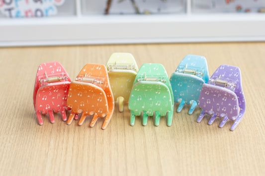 Rainbow Mini Claw Clip Set