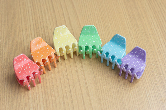 Rainbow Mini Claw Clip Set